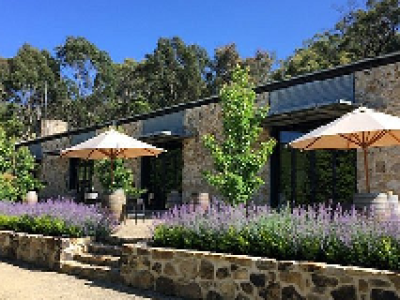 Golding winery1